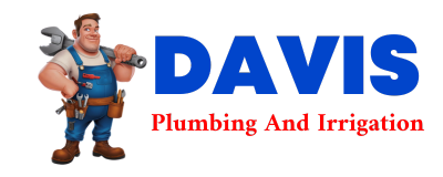 Trusted plumber in VICI